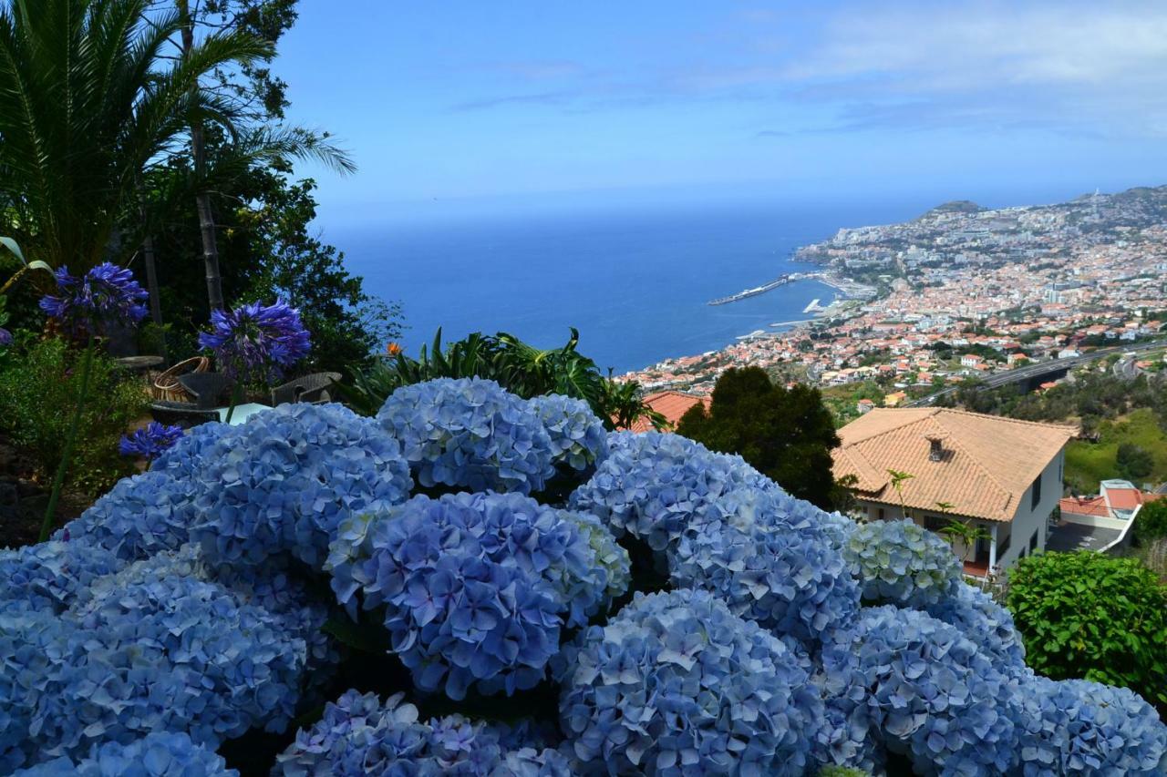 Holiday House 4 You Villa Funchal  Eksteriør billede
